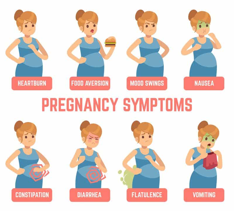 Early Pregnancy Symptoms