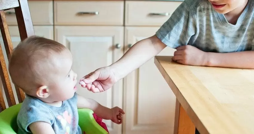baby food