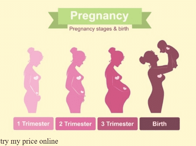 Pregnancy calculator by weeks and how does it function
