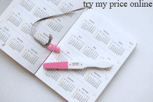 pregnancy calculator months