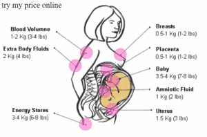 Pregnancy week calculator by due date