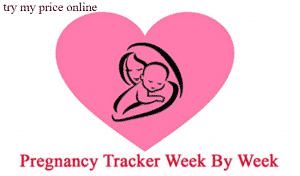 weight gain during pregnancy month by month