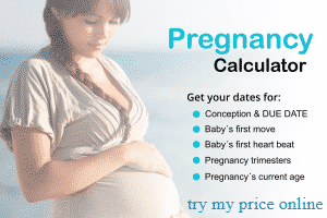 bmi pregnancy calculator