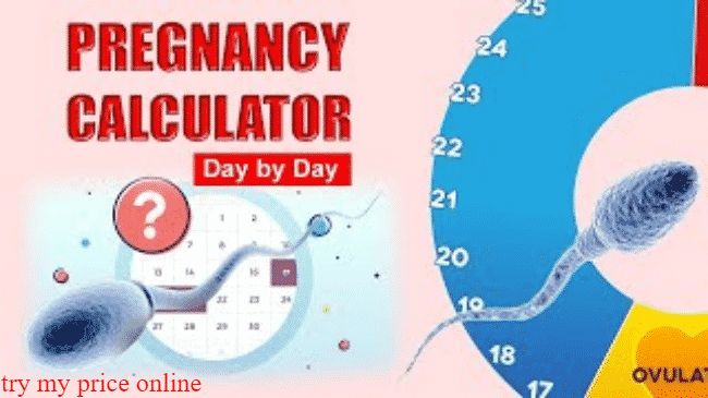 Week calculator pregnancy, and how does it function 