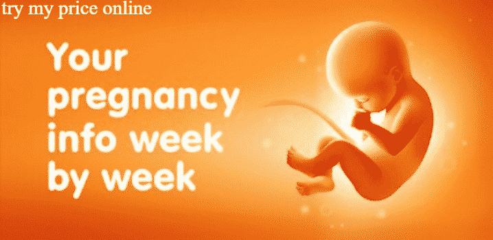 Pregnancy week calculator, product details