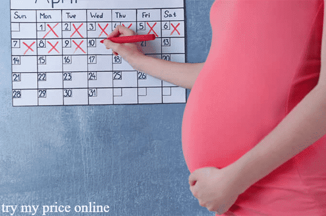 Pregnancy calculator week by week app