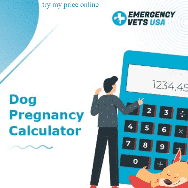 Pregnancy test kit and its function