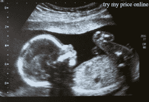 Pregnancy test calculator based on conception date, product description