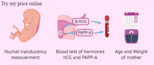 Triple test pregnancy, what exactly is it?