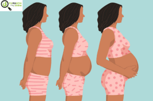 What week of pregnancy am i in