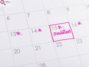 Pregnancy test calculator week by week