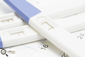 online pregnancy calculator