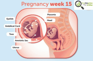 15 weeks pregnant symptoms baby girl