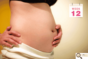 12 weeks pregnant baby development