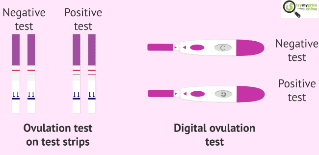 Ovulation test and how to use it