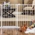 Best convertible high baby chair