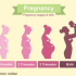 Pregnancy weeks calculator by due date and when to take a test