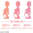 Pregnancy delivery date calculator and all details related to pregnancy