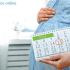 Pregnancy calculator by month and week