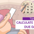 Pregnancy calculator day by day, how to calculate your due date