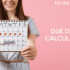 Pregnancy months calculator and the best app