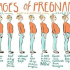 Pregnancy apps best ones