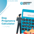 Week calculator pregnancy, and how does it function 